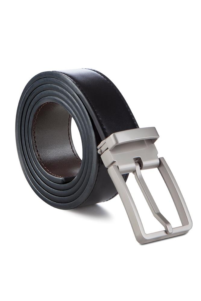 Enzo Brushed Silver with Black/Brown Strap