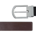 Alesso Silver with Black/Brown Strap